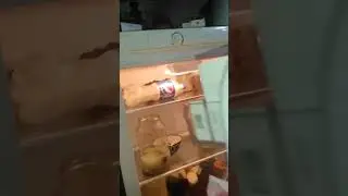 Фаёз Инвертор Андижон 990018270. 944328560