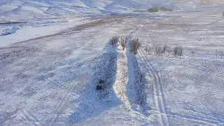 Қансонар ❄️