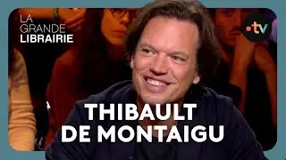Thibault de Montaigu, 