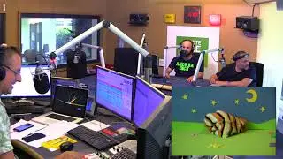 INTERVISTA AI CAMILLAS @ RETE TRE 2018 - RADIO SVIZZERA - CAMILLAS INTERVIEW