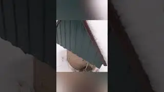 12 февраля 2023 г.