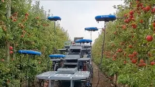 See How American Farmers Use Robots in Agriculture to Make Millions.ai