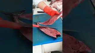 Como filetear pescado bonito #fish #bonito #pescadofresco