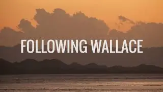 Explore Sulawesi & Halmahera with Sticky Rice Travel