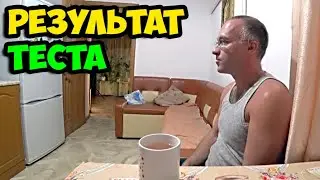 Результат теста на болезнь || Вторая мышка у котенка || Адаптация в Суперкопилке | 3-й день лечения