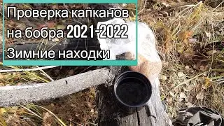 Проверка капканов на бобра 2021-2022 Зимние находки