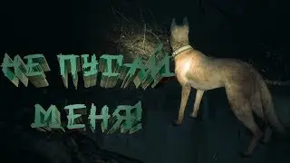 BLAIR WITCH (ВЕДЬМА ИЗ БЛЭР)  "баги, приколы"