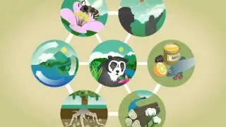 Ecosystem Services  (Vietnamese)