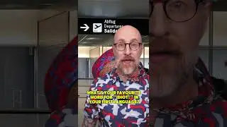 Ways to say “Idiot!” in English! 