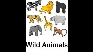 Learn English - Lesson #27: Wild Animals - Singular and Plural, Pronunciation