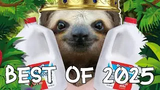 Flightless Sloth Moments That Made Me Go “heh, funny” in 2025 // Funny Gaming Moments