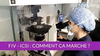 FIV ICSI en laboratoire PMA. Comment ça marche ?