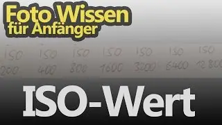 Der ISO-Wert beim Fotografieren - einfach erklärt