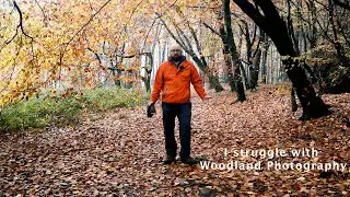 I struggle with woodland photography