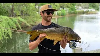 How, Where, When to Catch Carp (Tie an EASY Fly) Fly Fishing