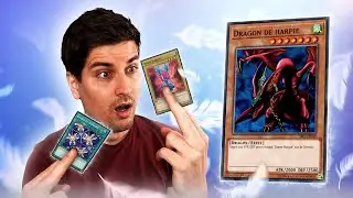 L'INTÉGRALITÉ DES CARTES HARPIES ! À la conquête des Archétypes #3