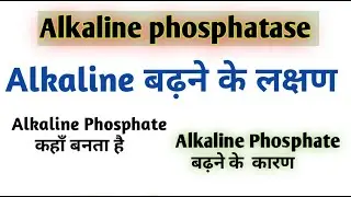 Causes of High Alkaline Phosphatase  I Alkaline Phosphatase Blood Test