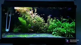 aquarium