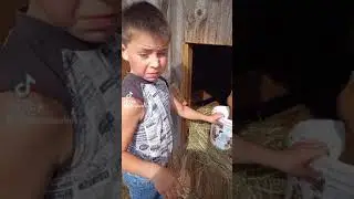 Даня поит малышню-телят