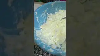 Стряпаем вареники с творогом