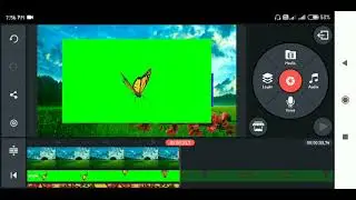 flower animation background video editing kinemaster || Green screen video editing
