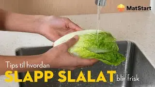 Ikke kast slapp salat 🥬 | MatStart