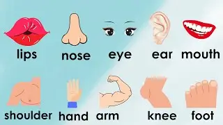 Mắt mũi miệng tiếng Anh (My Body) | Dạy bé học tiếng Anh các bộ phận trên cơ thể | Oh Vui Kids