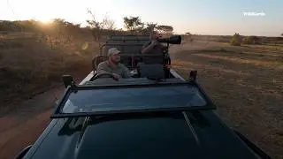 Sting of a scorpion