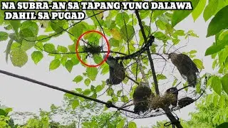 GINAWA LAHAT PARA DOMAPO...TIGASIN KAYU HA .?