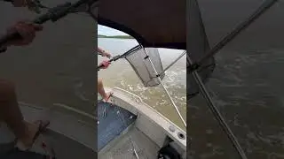 @mac_fishing1 almost got his catch stolen by another type of tax man 🐊#crocodile  #fishing #BCF