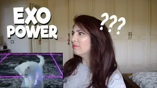 EXO - POWER MV Reaction + Theory? [WHAT THE HELL?]