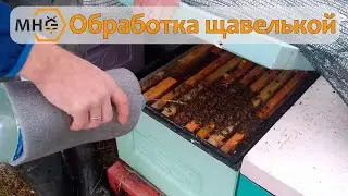 Обработка щавелевой кислотой в феврале