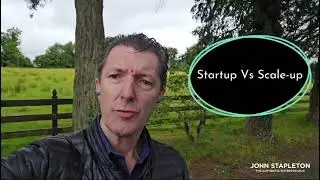 Startup Vs Scale Up