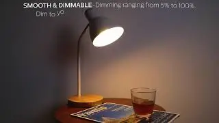 E14 LED 2700K Soft White Dimmable Candle Light Bulbs