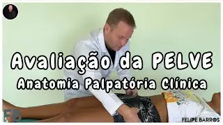 Pelve - Anatomia Palpatória Clínica | Prof. Felipe Barros