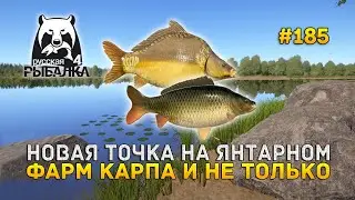Новая точка на Янтарном. Фарм Карпа и не только - Русская Рыбалка 4 