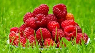 Best Chillout Lounge June Selection 2023