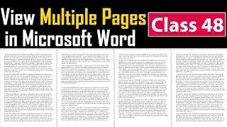 View Multiple Pages in Microsoft Word - Class 48