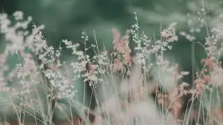 Hey Gidi Koca Dünya Gam Yükü Müsün