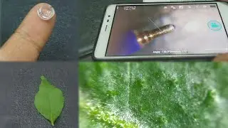 Smartphone Microscope | How to make macro lens | Lazer pointer lens project | KesPra ✔