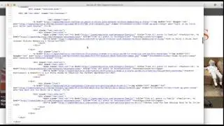 Check Source Code for Troubleshooting Google Indexing Issues