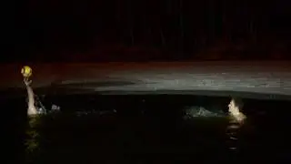 Моржи в проруби играют в водный мяч
