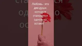 Любовь