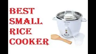Best Small Rice Cooker 2021