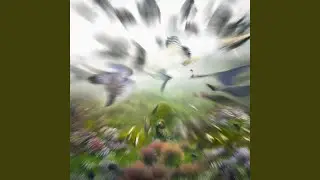 Catch And Release