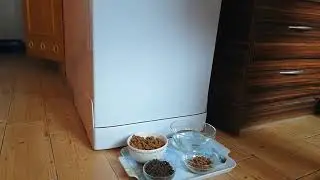 Лечебный корм для кота с хроническим запором.