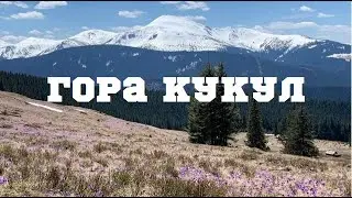 Поход на гору Кукул в сезон цветения крокусов