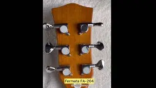 Fermata FA-204 Guitar Full Review And Testing
