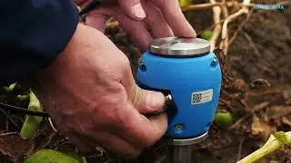 Sensoterra Multi Depth soil moisture sensor installation
