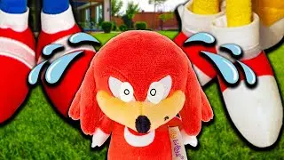 Knuckles Gets Small! - Sonic Zoom
